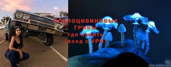 ALPHA PVP Баксан