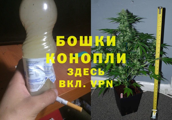 ALPHA PVP Баксан