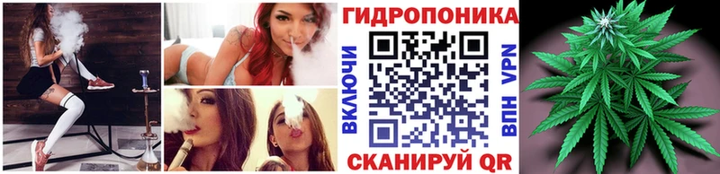 Бошки марихуана планчик Бор