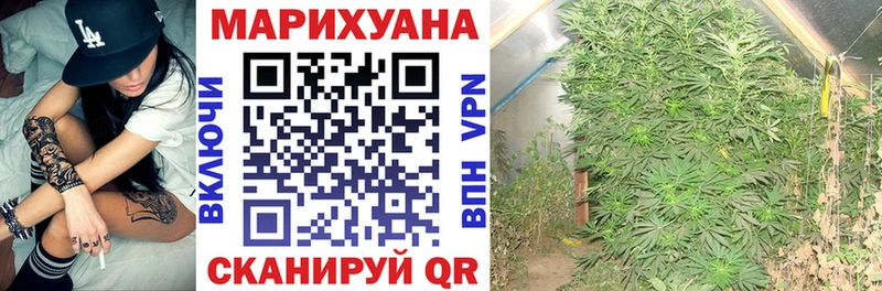 как найти закладки  Бор  Каннабис AK-47 
